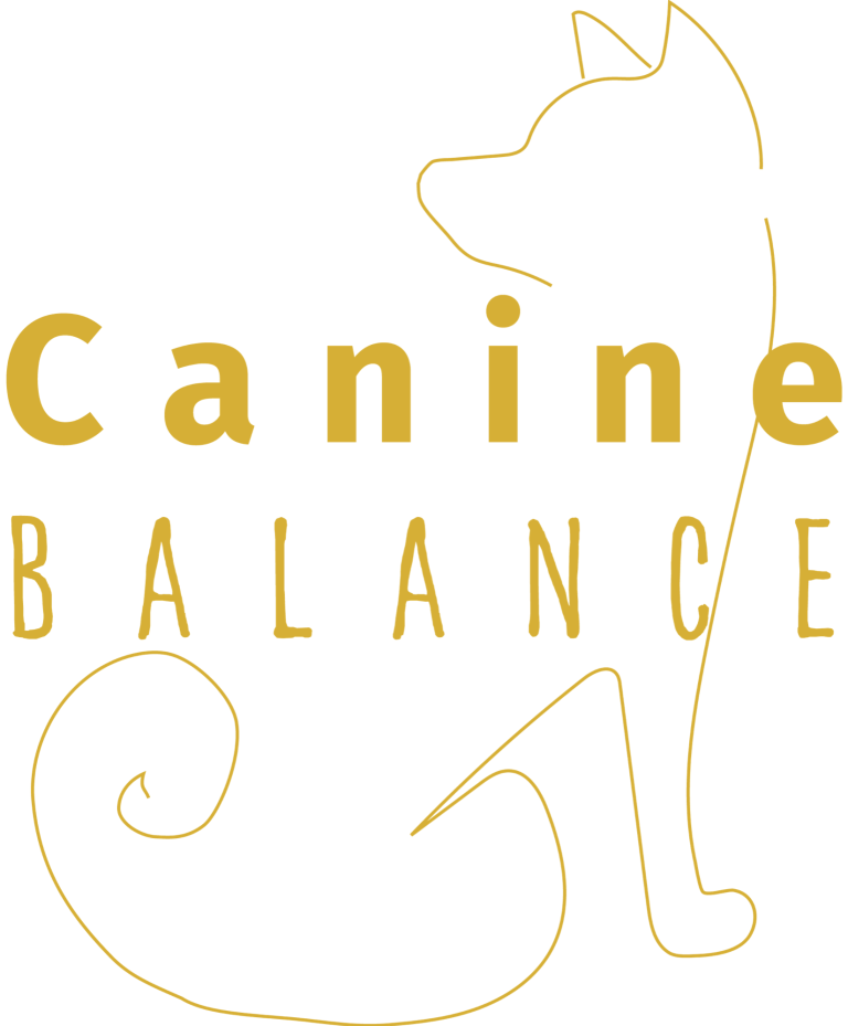 Canine Balance Ernährungsberatung für Hunde